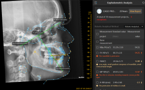 Screenshot 2025-11-11 192934